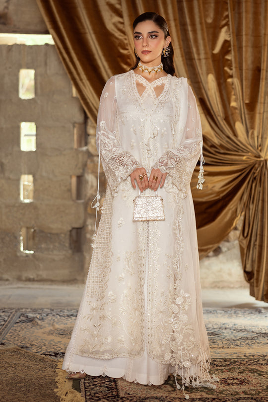 QALAMKAR | Chiffon 2025 - Roise WC-03