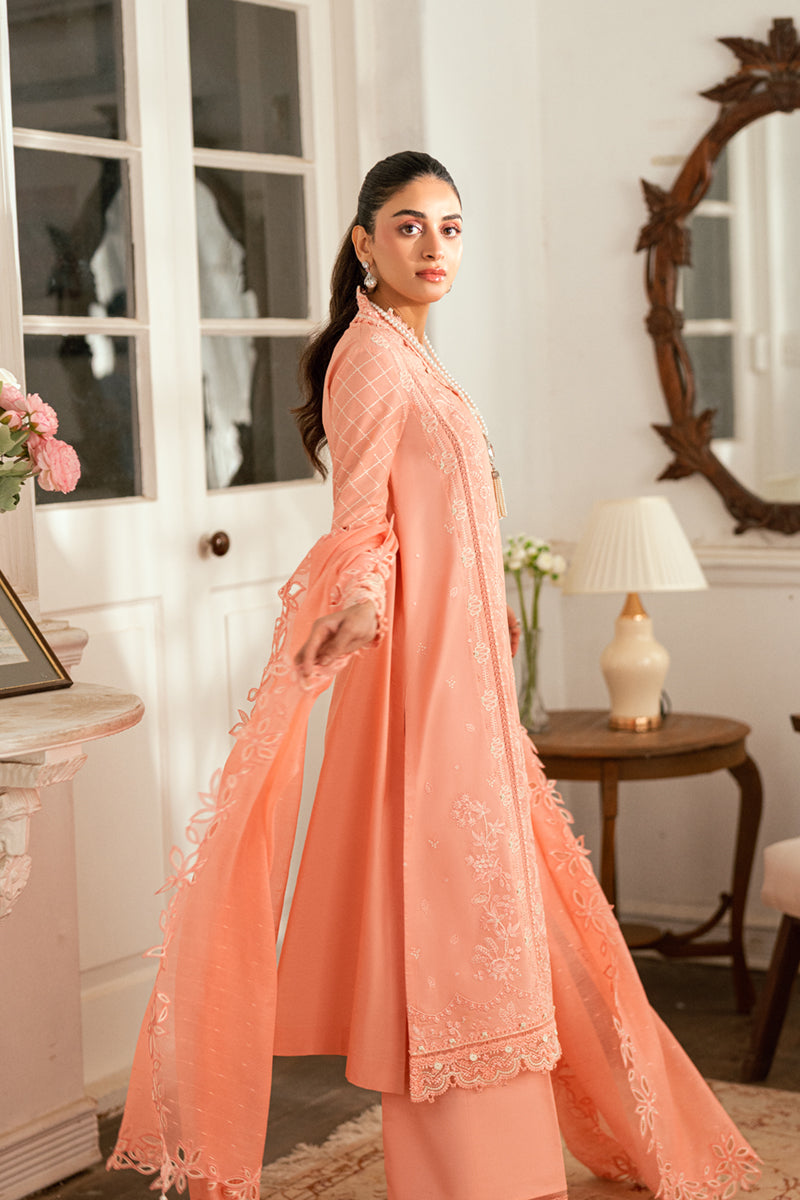QALAMKAR | Luxury Lawn Eid Edit 2025 - Jafa - SB-12 Unstitched