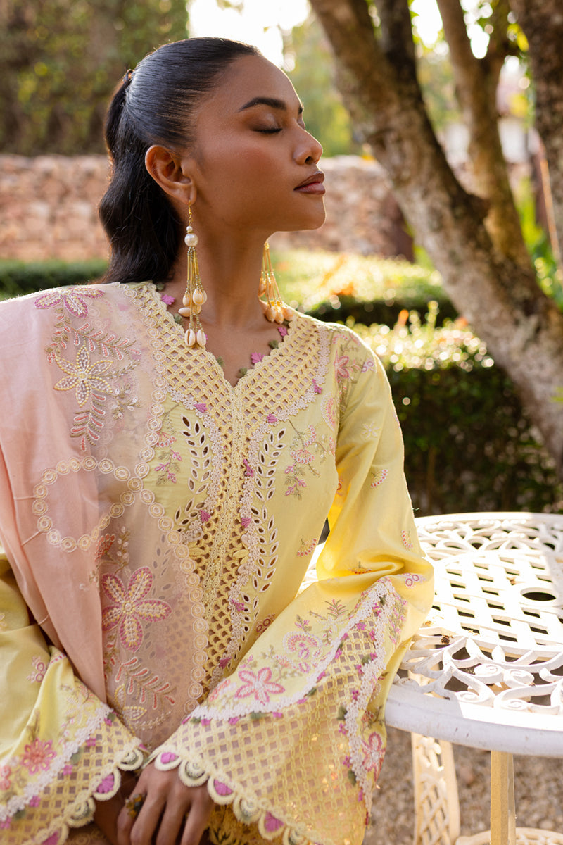 QALAMKAR : QLine Lawn 2025 - Ina-QM-11 Unstitched - Aarzu