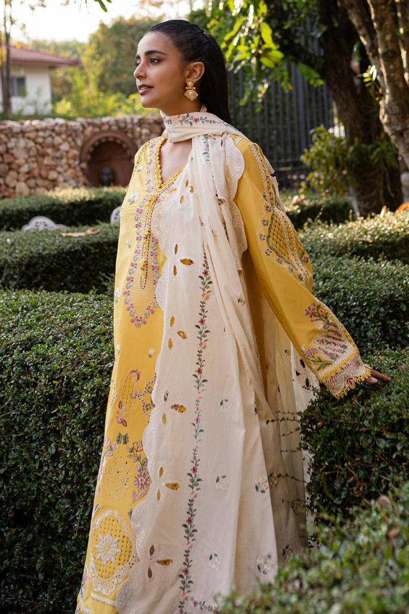 QALAMKAR : QLine Lawn 2025 - Olena-QM-10 Unstitched - Aarzu