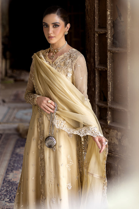 QALAMKAR | Chiffon 2025 - Heela WC-07