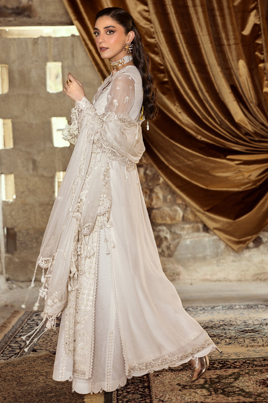 QALAMKAR | Chiffon 2025 - Roise WC-03