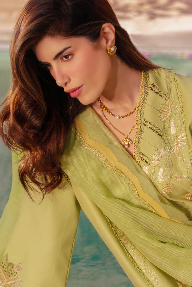 RANG RASIYA | Luxury Eid Lawn 2026 Unstitched - Nadine - Aarzu