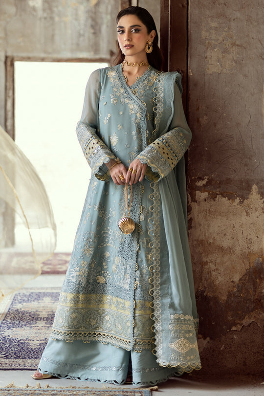 QALAMKAR | Chiffon 2025 - Venin WC-08
