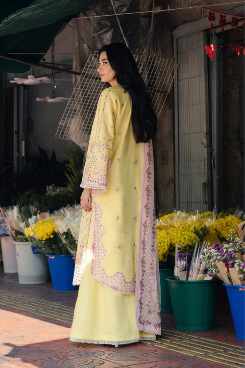 AFROZEH | Mulaqaat 2026 Festive Lawn Unstitched - Aarzu