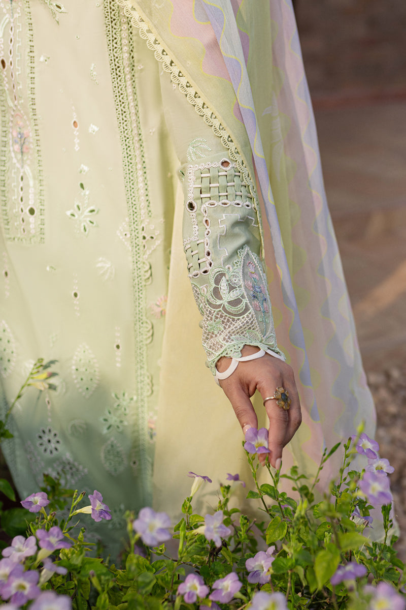 QALAMKAR : QLine Lawn 2025 - Maia-QM-08 Unstitched