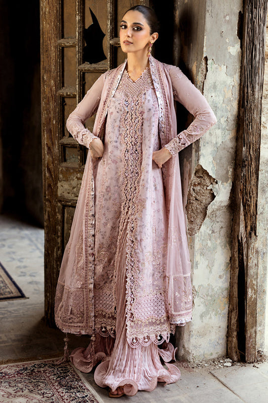 QALAMKAR | Chiffon 2025 - Riona WC-05