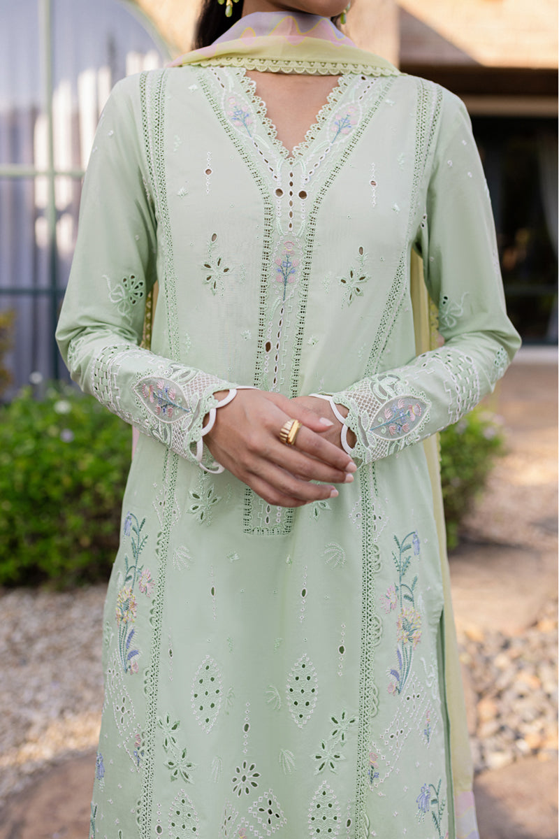 QALAMKAR : QLine Lawn 2025 - Maia-QM-08 Unstitched