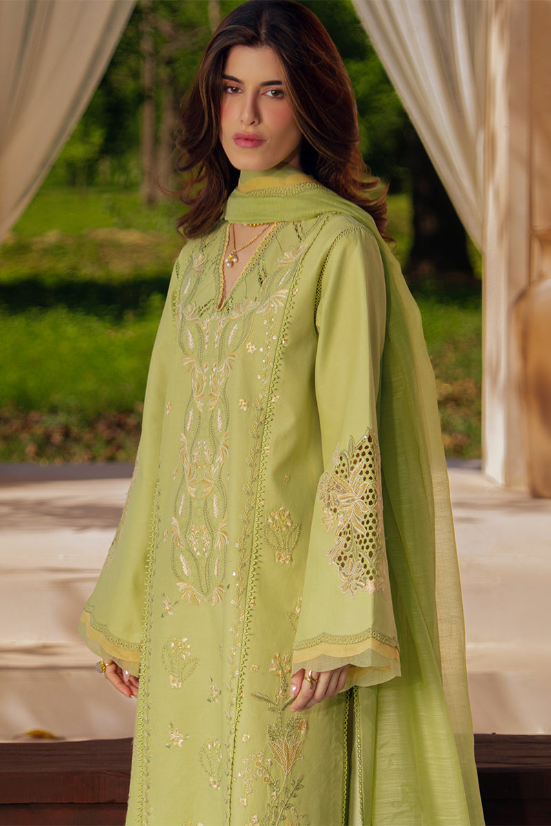 RANG RASIYA | Luxury Eid Lawn 2026 Unstitched - Nadine - Aarzu