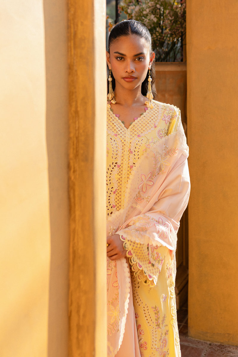 QALAMKAR : QLine Lawn 2025 - Ina-QM-11 Unstitched