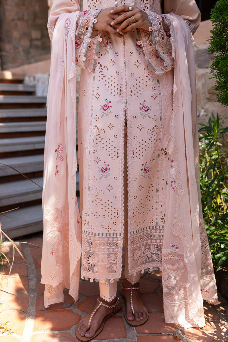 QALAMKAR : QLine Lawn 2025 - Neha-QM-14 Unstitched