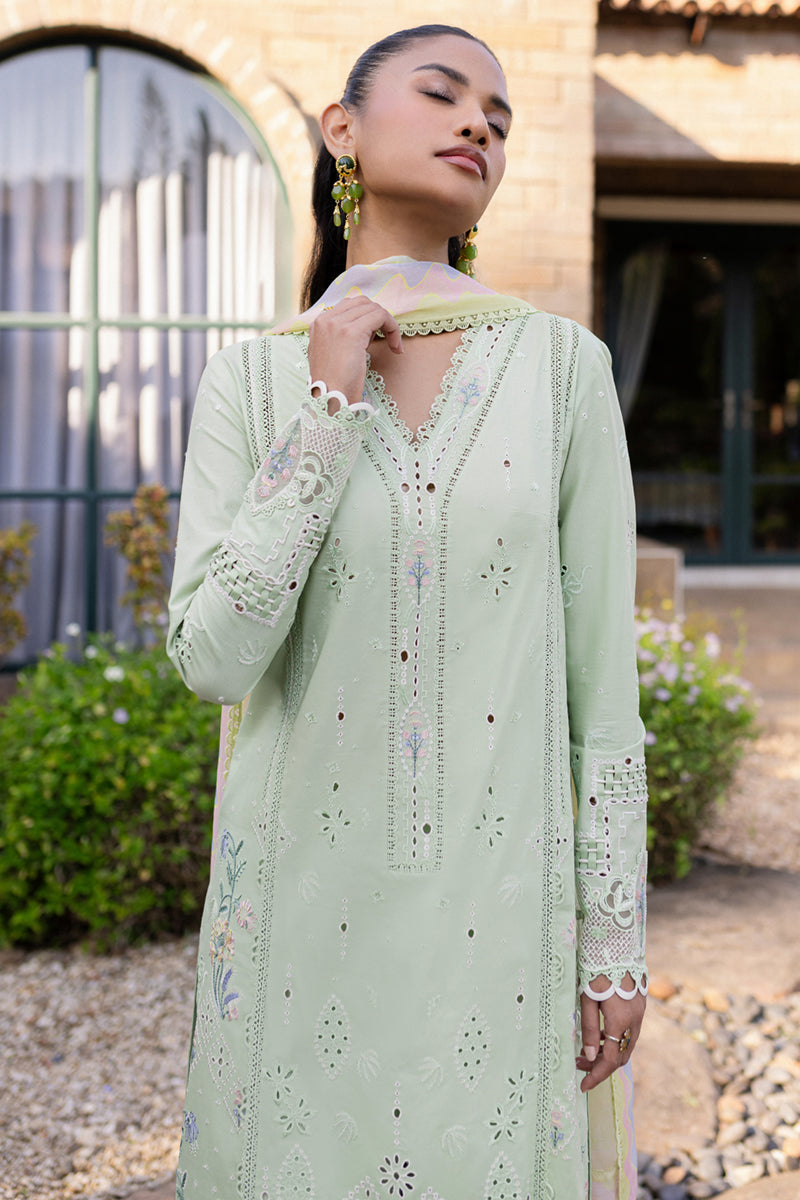 QALAMKAR : QLine Lawn 2025 - Maia-QM-08 Unstitched