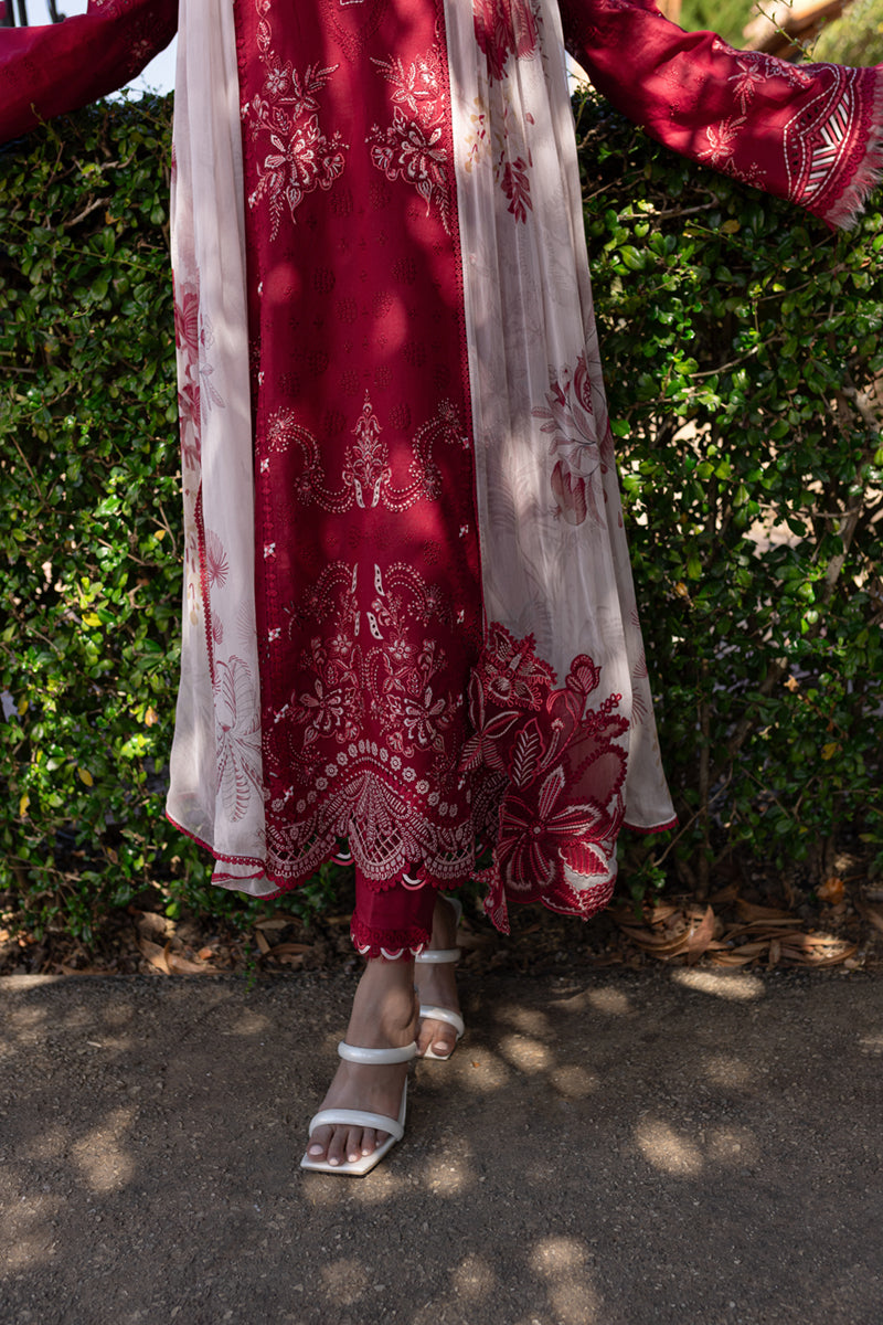 QALAMKAR : QLine Lawn 2025 - Soha-QM-15 Unstitched