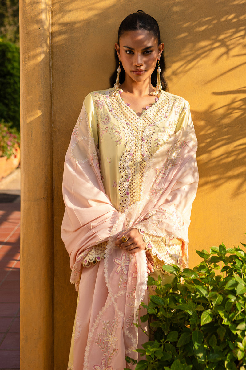 QALAMKAR : QLine Lawn 2025 - Ina-QM-11 Unstitched