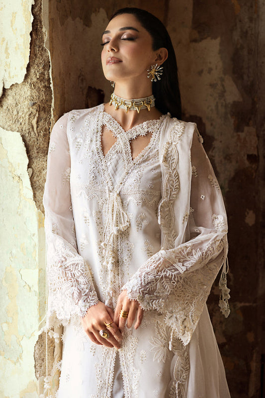QALAMKAR | Chiffon 2025 - Roise WC-03