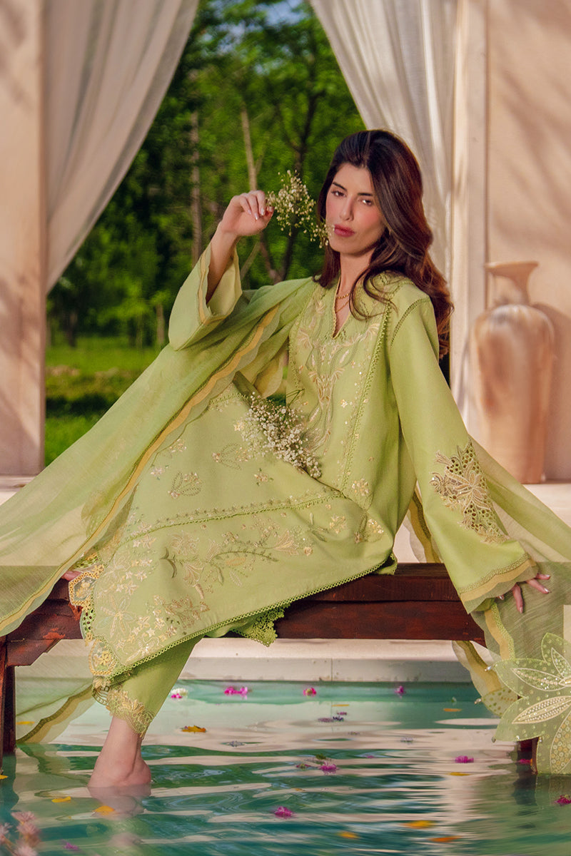 RANG RASIYA | Luxury Eid Lawn 2026 Unstitched - Nadine - Aarzu