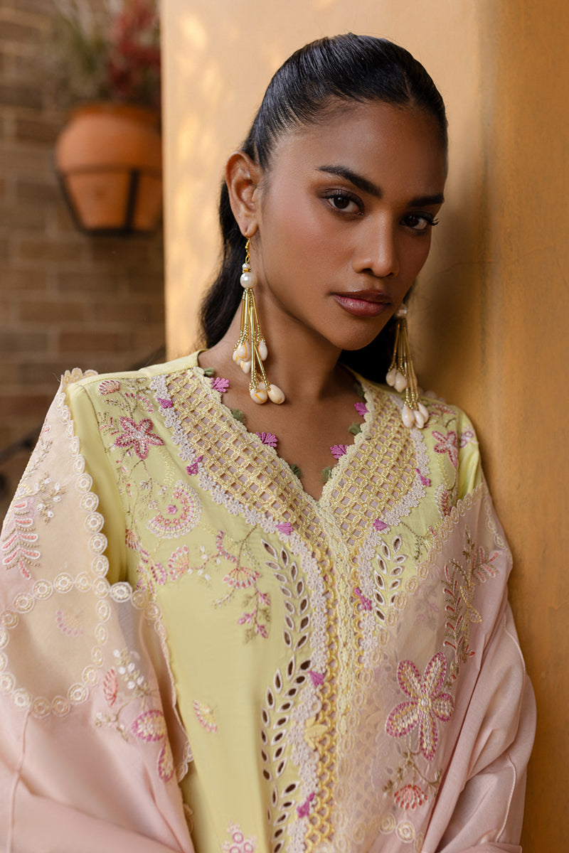 QALAMKAR : QLine Lawn 2025 - Ina-QM-11 Unstitched