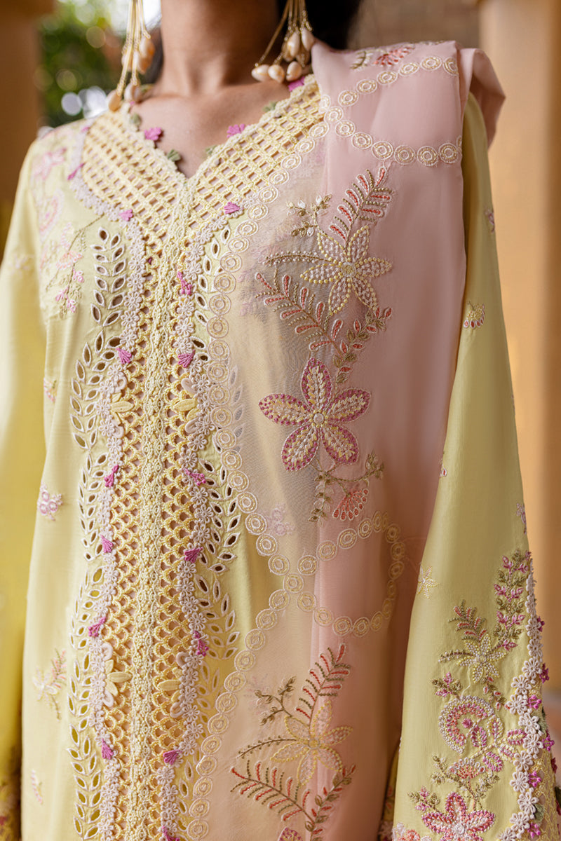 QALAMKAR : QLine Lawn 2025 - Ina-QM-11 Unstitched