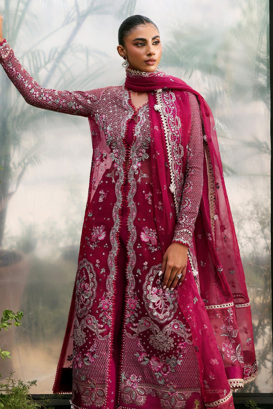 AFROZEH | La Fuchsia 2025 - Rowan