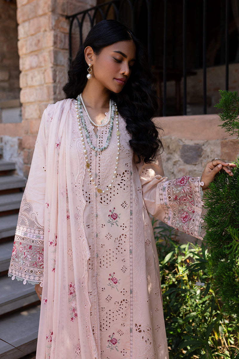 QALAMKAR : QLine Lawn 2025 - Neha-QM-14 Unstitched