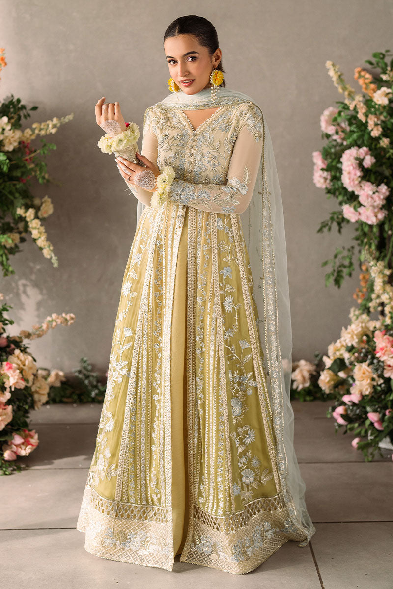 MUSHQ | Mastani Evening Luxury Chiffon 2024 | Hira - MUNCH240106U Unstitched