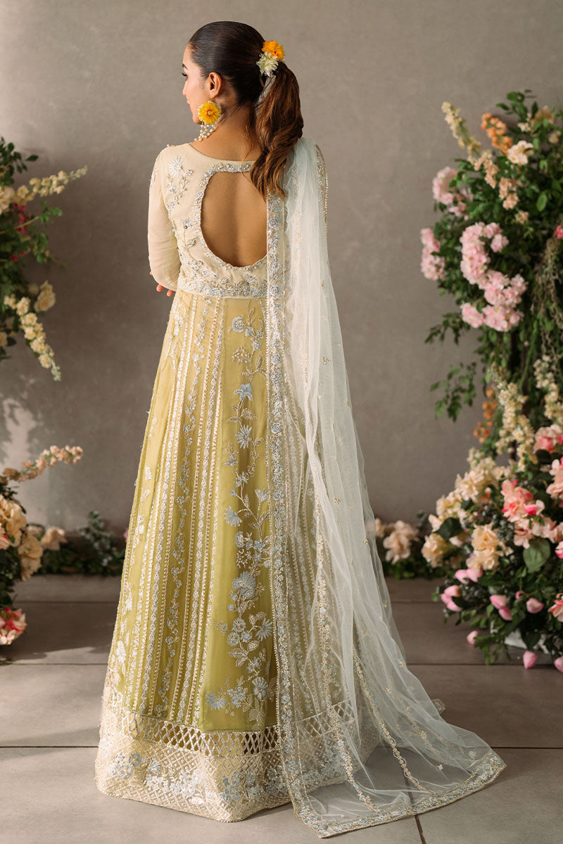 MUSHQ | Mastani Evening Luxury Chiffon 2024 | Hira - MUNCH240106U Unstitched