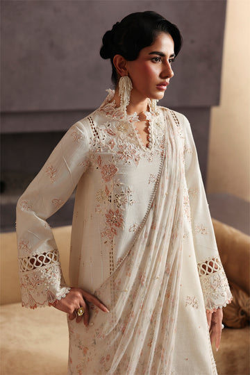 QALAMKAR | PRET 2025 | Nooray