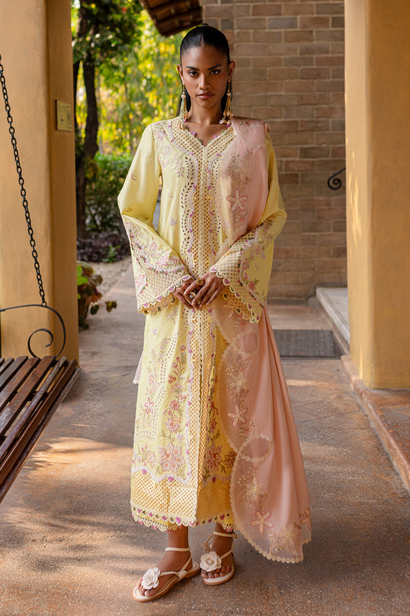 QALAMKAR : QLine Lawn 2025 - Ina-QM-11 Unstitched