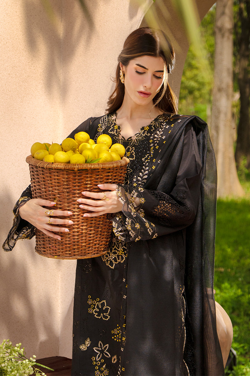 RANG RASIYA | Luxury Eid Lawn 2026 Unstitched - Layl - Aarzu