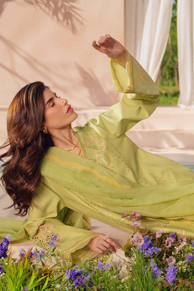 RANG RASIYA | Luxury Eid Lawn 2026 Unstitched - Nadine - Aarzu