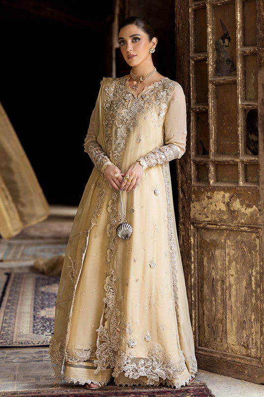 QALAMKAR | Chiffon 2025 - Heela WC-07