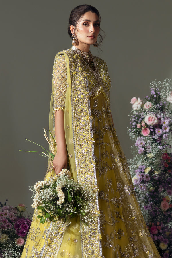 ELAN | Wedding Festive 2024 | Lime Blossom EC24-03 Unstitched