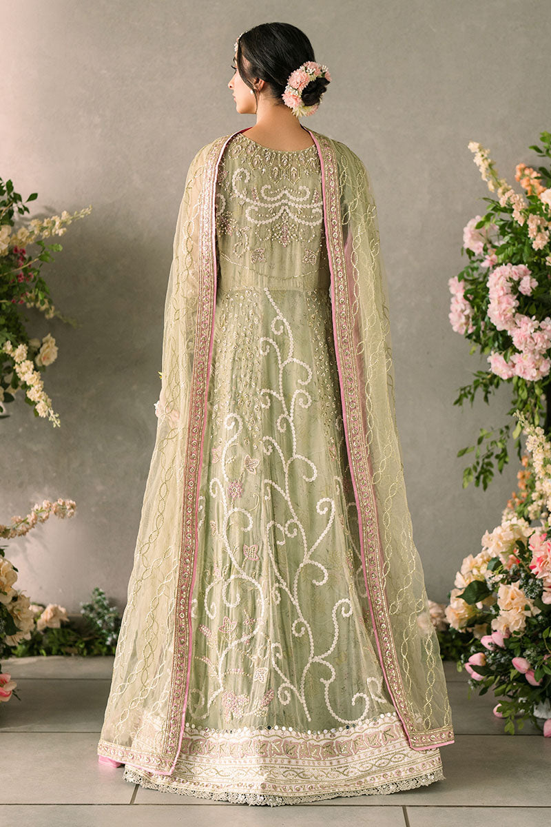 MUSHQ | Mastani Evening Luxury Chiffon 2024 | Namar - MUNCH240110U Unstitched